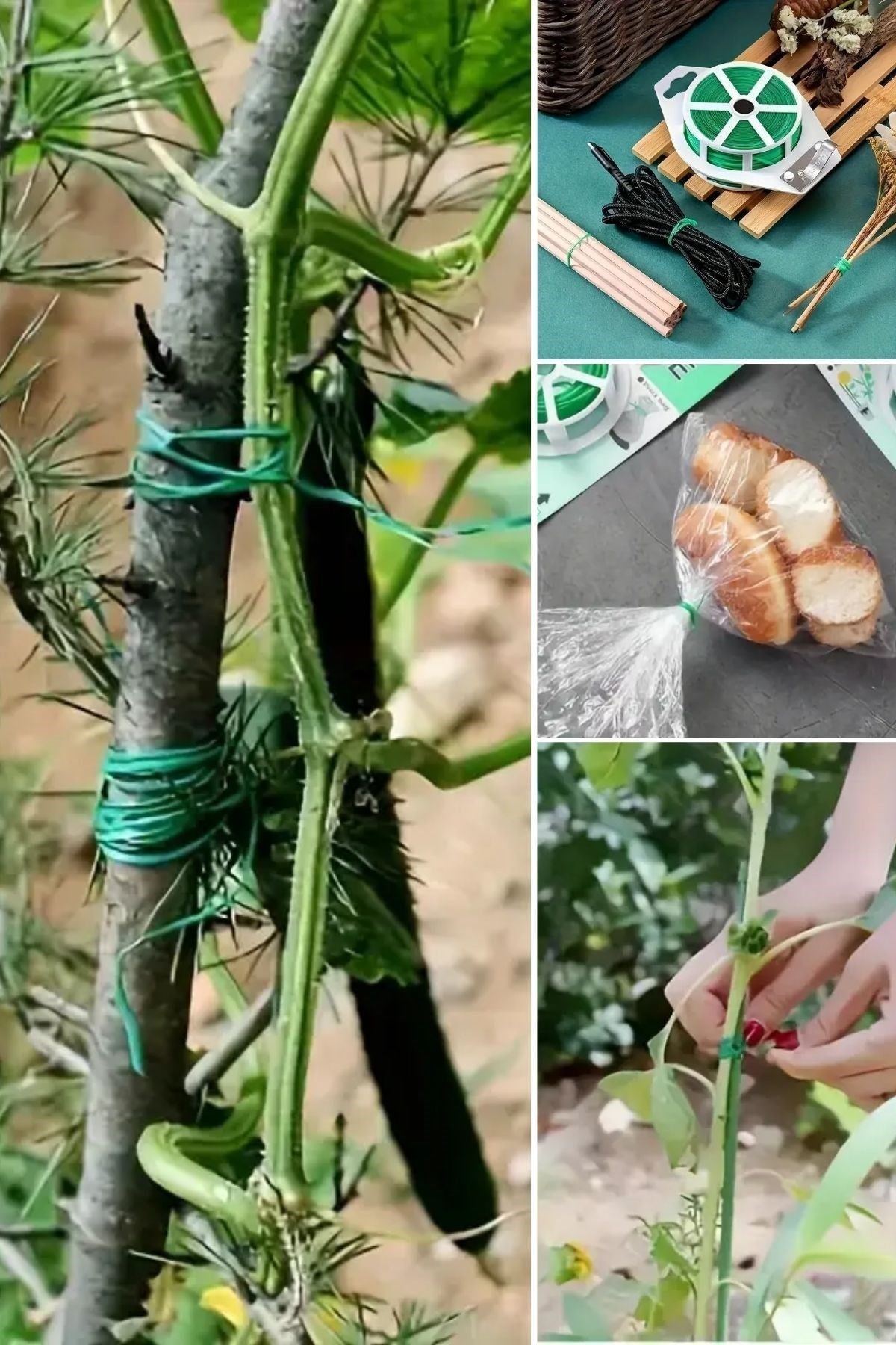 BUFFER® 50 Metre Kendiliğinden Kesici Bıçaklı Bitki Saksı Kablo Sabitleme Teli