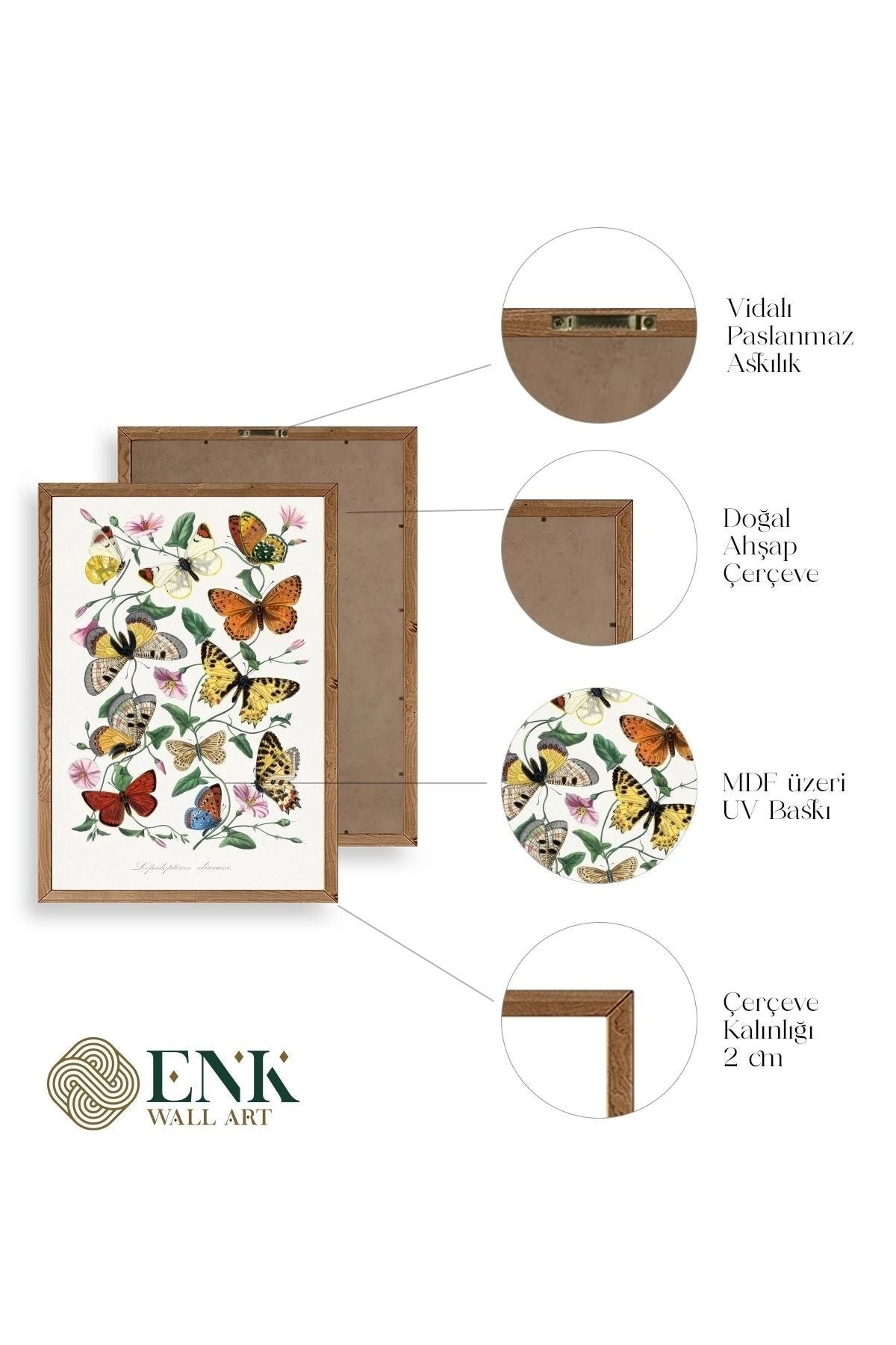 Lepidopteres Diurnes Ahşap Çerçeveli Tablo 50 x 70