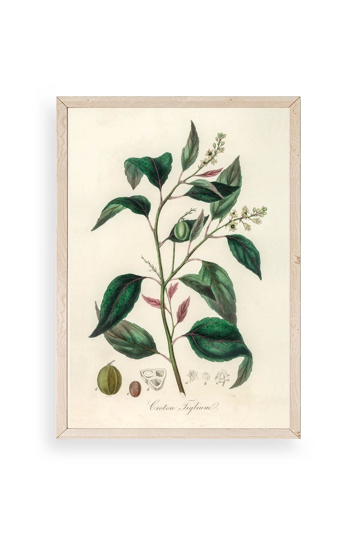 Yaprak Ahşap Çerçeveli Tablo 30 x 42