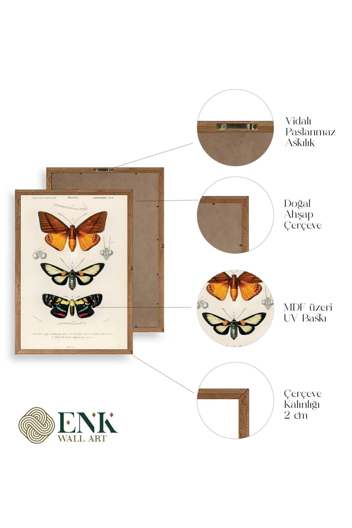 Kelebekler Ahşap Çerçeveli Tablo 17 x 23