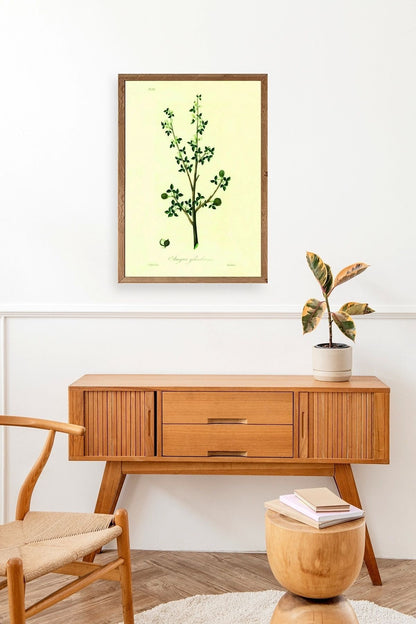 Yapraklar Ahşap Çerçeveli Tablo 50 x 70