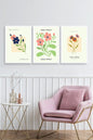 Flower Market Üçlü Ahşap Çerçeveli Tablo 23 x 30