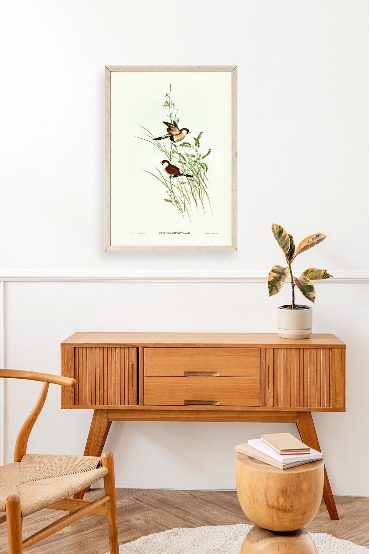 Kuşlar Ahşap Çerçeveli Tablo 50 x 70