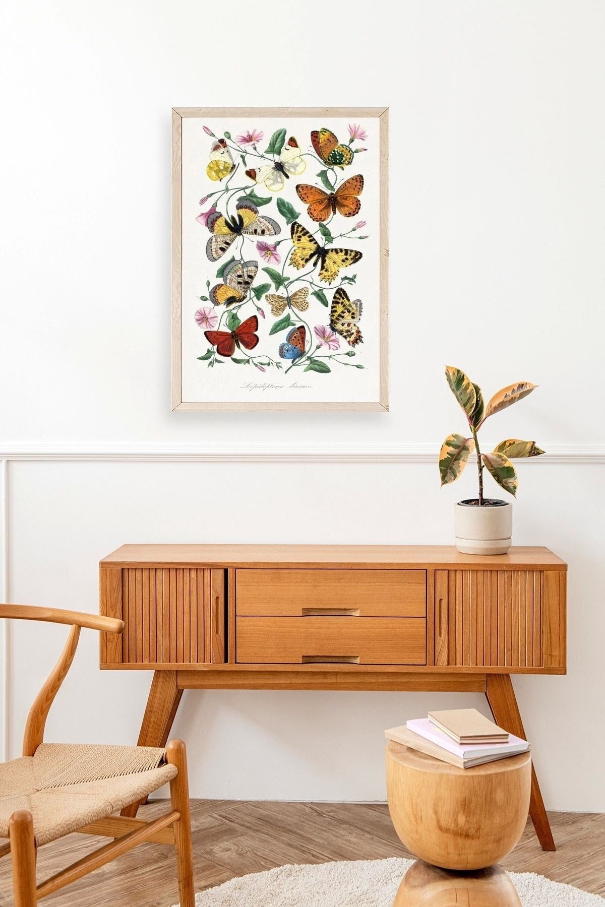 Lepidopteres Diurnes Ahşap Çerçeveli Tablo 17 x 23