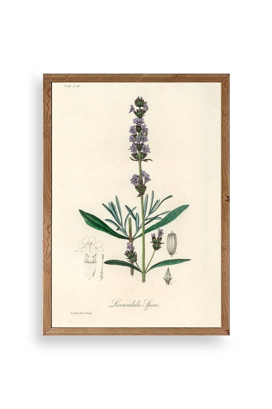 Yaprak Ahşap Çerçeveli Tablo 17 x 23