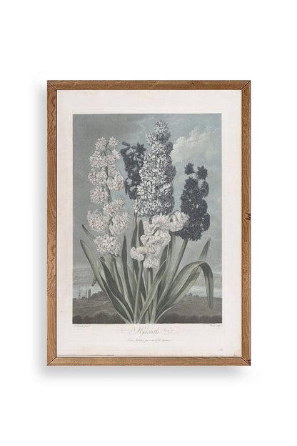 Legendarte Canvas Ahşap Çerçeveli Tablo 23 x 30