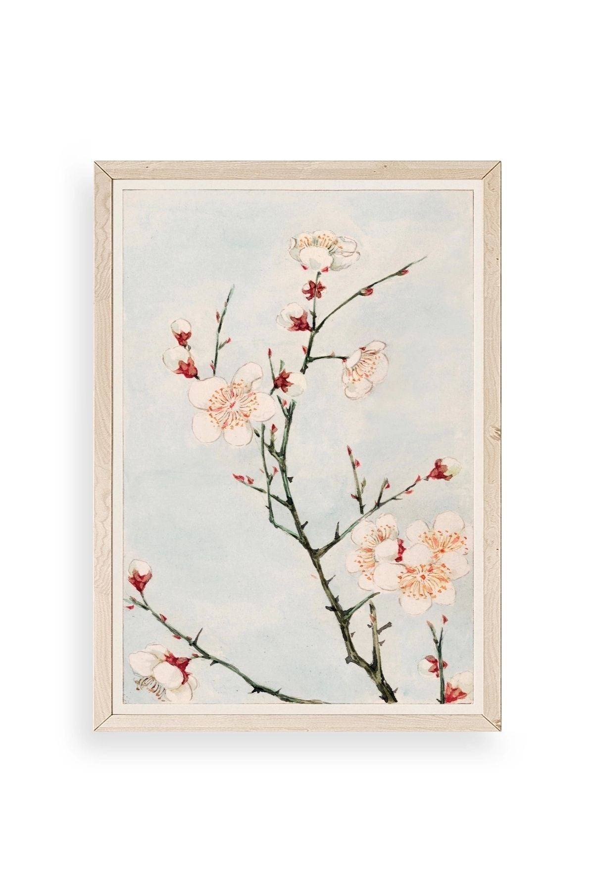 Cherry Blossom Ahşap Çerçeveli Tablo 50 x 70
