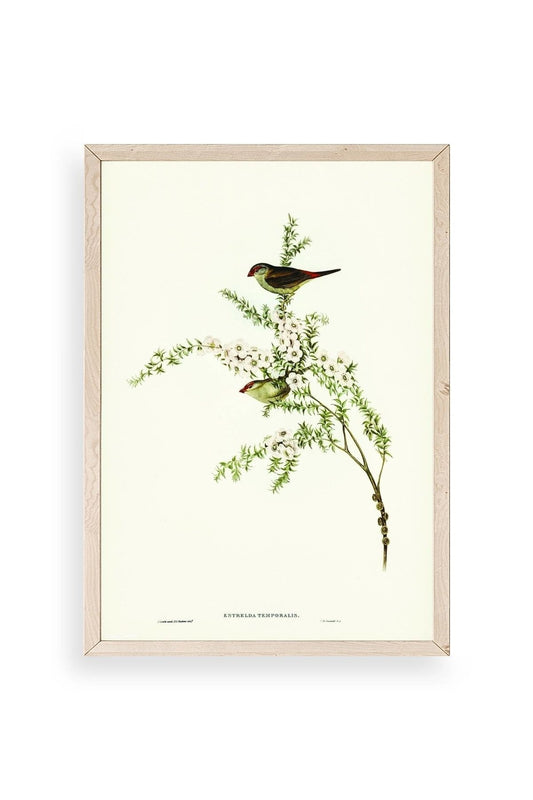 Daldaki Kuş Ahşap Çerçeveli Tablo 23 x 30