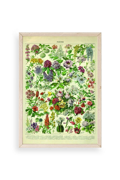 Çiçekler Ahşap Çerçeveli Tablo 50 x 70