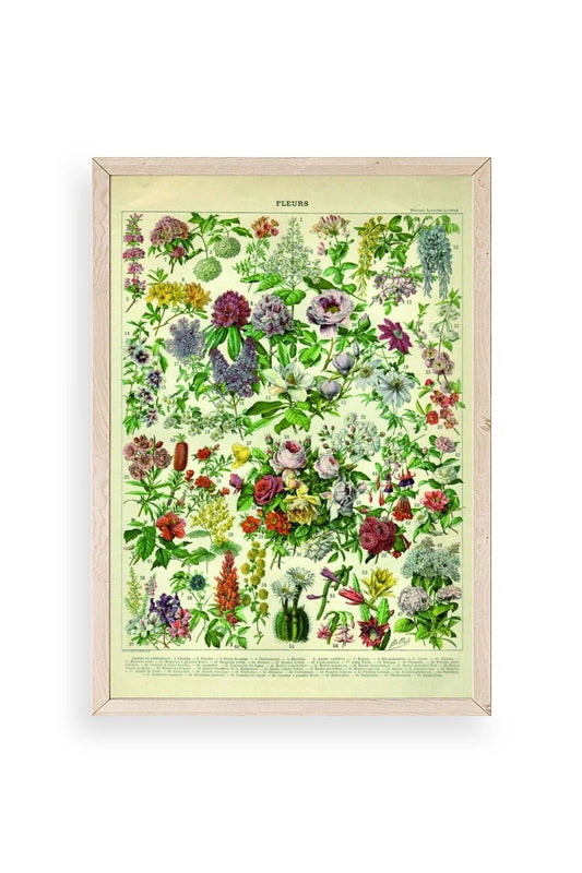 Çiçekler Ahşap Çerçeveli Tablo 50 x 70