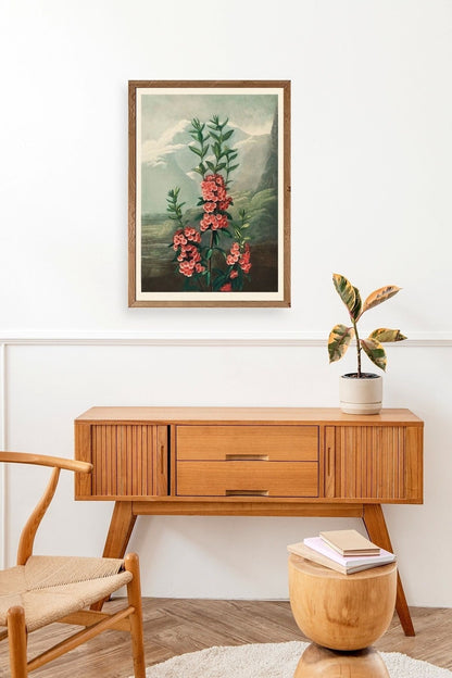 Narrow-Leaved Kalmia Ahşap Çerçeveli Tablo 23 x 30