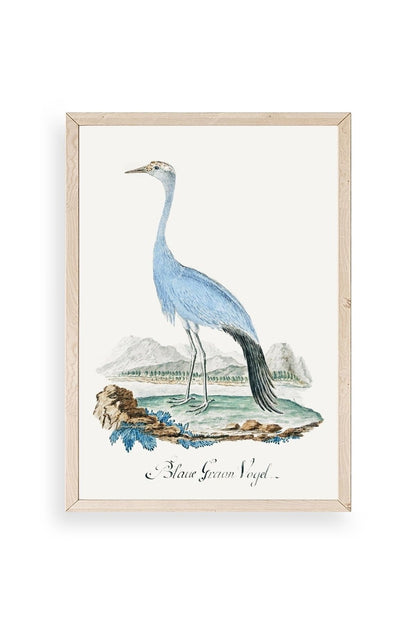 Blaue G. Voyel Ahşap Çerçeveli Tablo 30 x 42