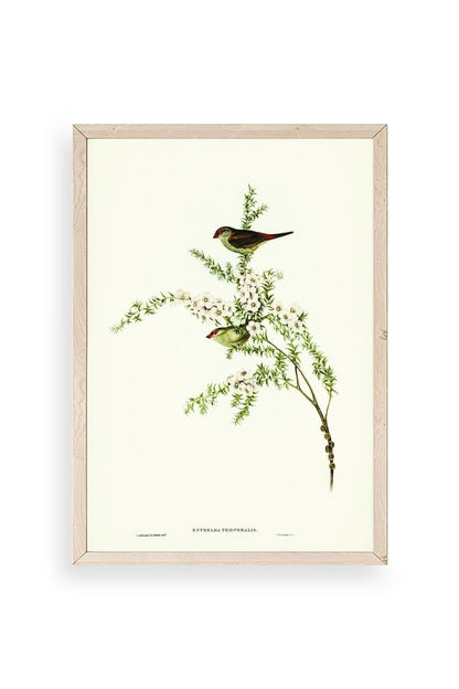 Daldaki Kuş Ahşap Çerçeveli Tablo 30 x 42