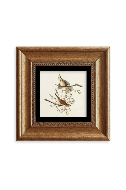 Yabani Dal Serçe Çerçeveli Taş Tablo 20 cm