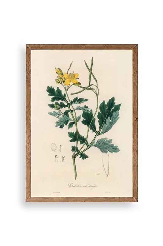 Çiçek Ahşap Çerçeveli Tablo 23 x 30