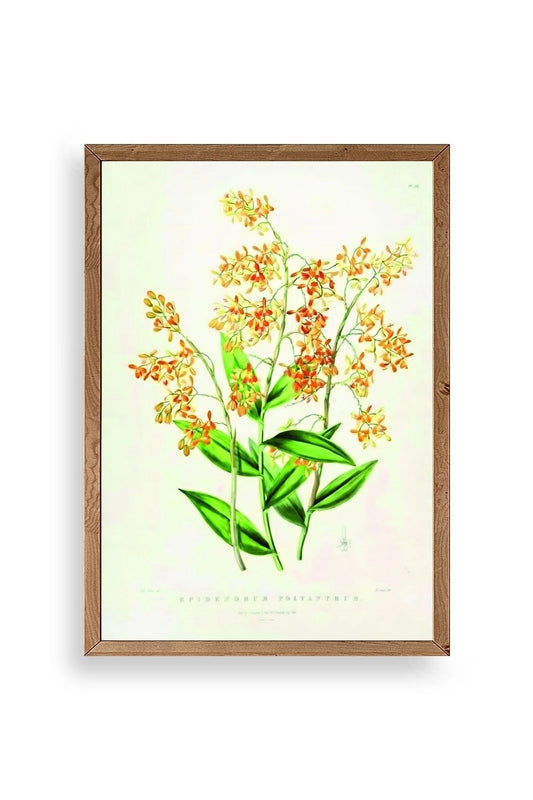 Çiçek Ahşap Çerçeveli Tablo 23 x 30