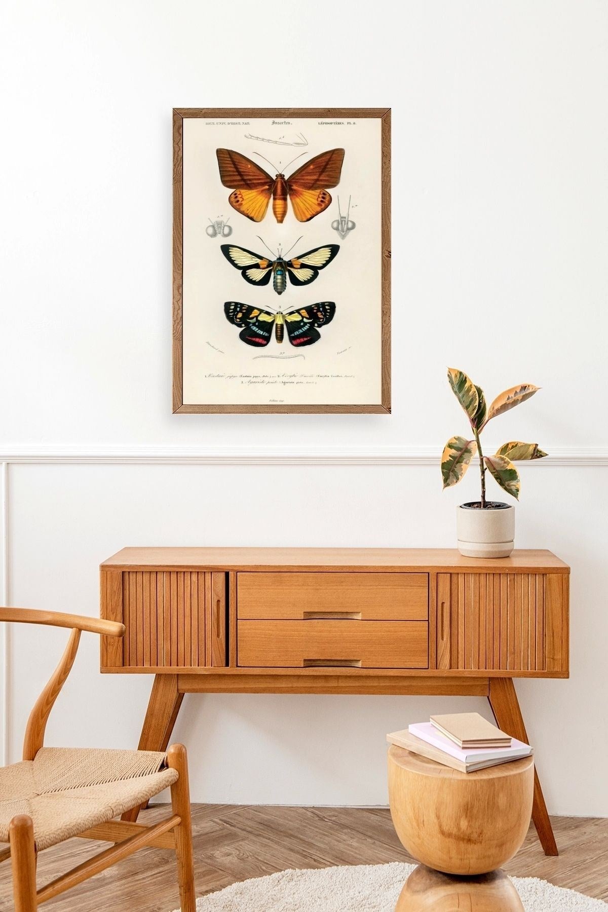 Kelebekler Ahşap Çerçeveli Tablo 50 x 70