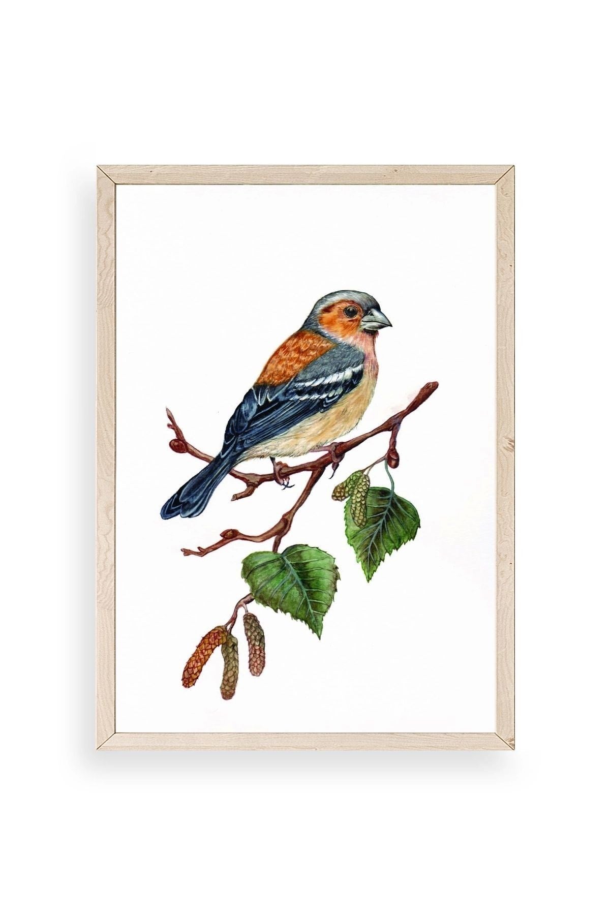 Kuş Ahşap Çerçeveli Tablo 23 x 30