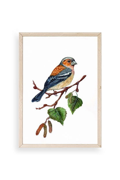 Kuş Ahşap Çerçeveli Tablo 23 x 30