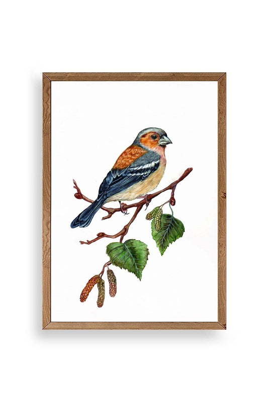 Kuş Ahşap Çerçeveli Tablo 17 x 23