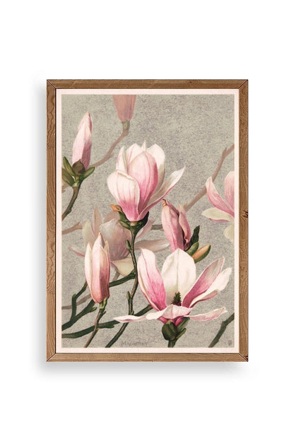 Magnolia Flowers Ahşap Çerçeveli Tablo 17 x 23