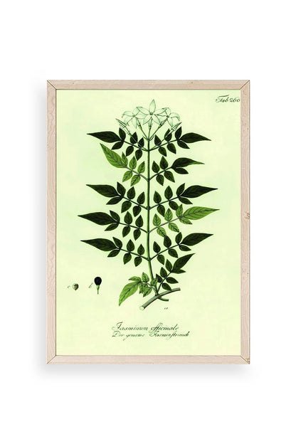 Yapraklar Ahşap Çerçeveli Tablo 23 x 30