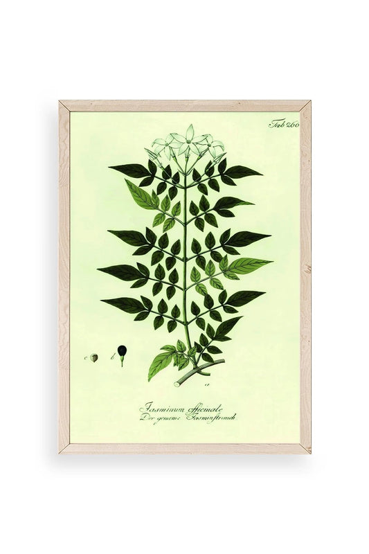 Yapraklar Ahşap Çerçeveli Tablo 23 x 30