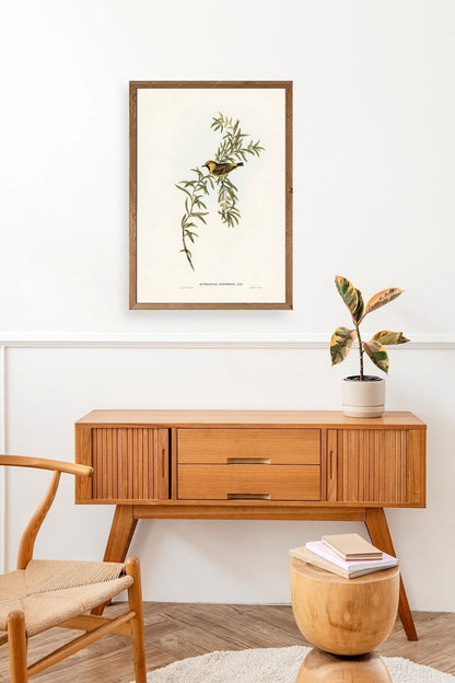 Daldaki Kuş Ahşap Çerçeveli Tablo 50 x 70