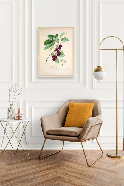 Meyveler Ahşap Çerçeveli Tablo 17 x 23