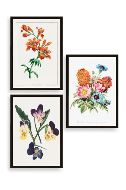 Çiçek Üçlü Ahşap Çerçeveli Tablo 23 x 30