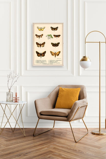 Kelebekler Ahşap Çerçeveli Tablo 50 x 70