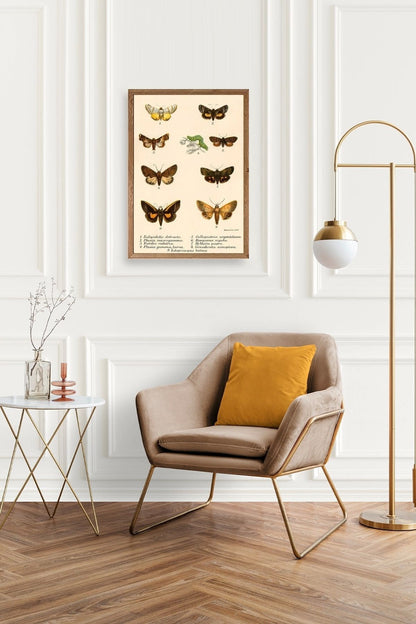 Kelebekler Ahşap Çerçeveli Tablo 17 x 23