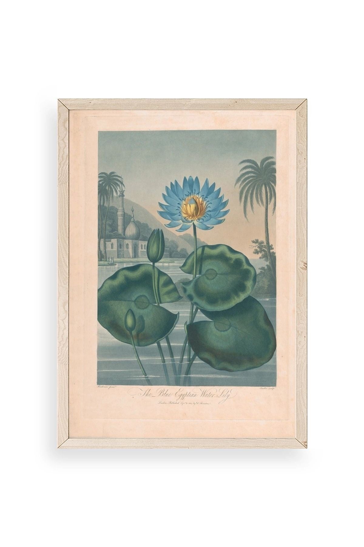 Joseph Constantine Ahşap Çerçeveli Tablo 50 x 70