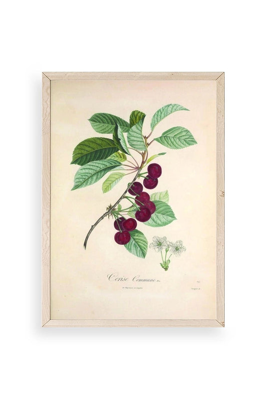 Meyveler Ahşap Çerçeveli Tablo 17 x 23