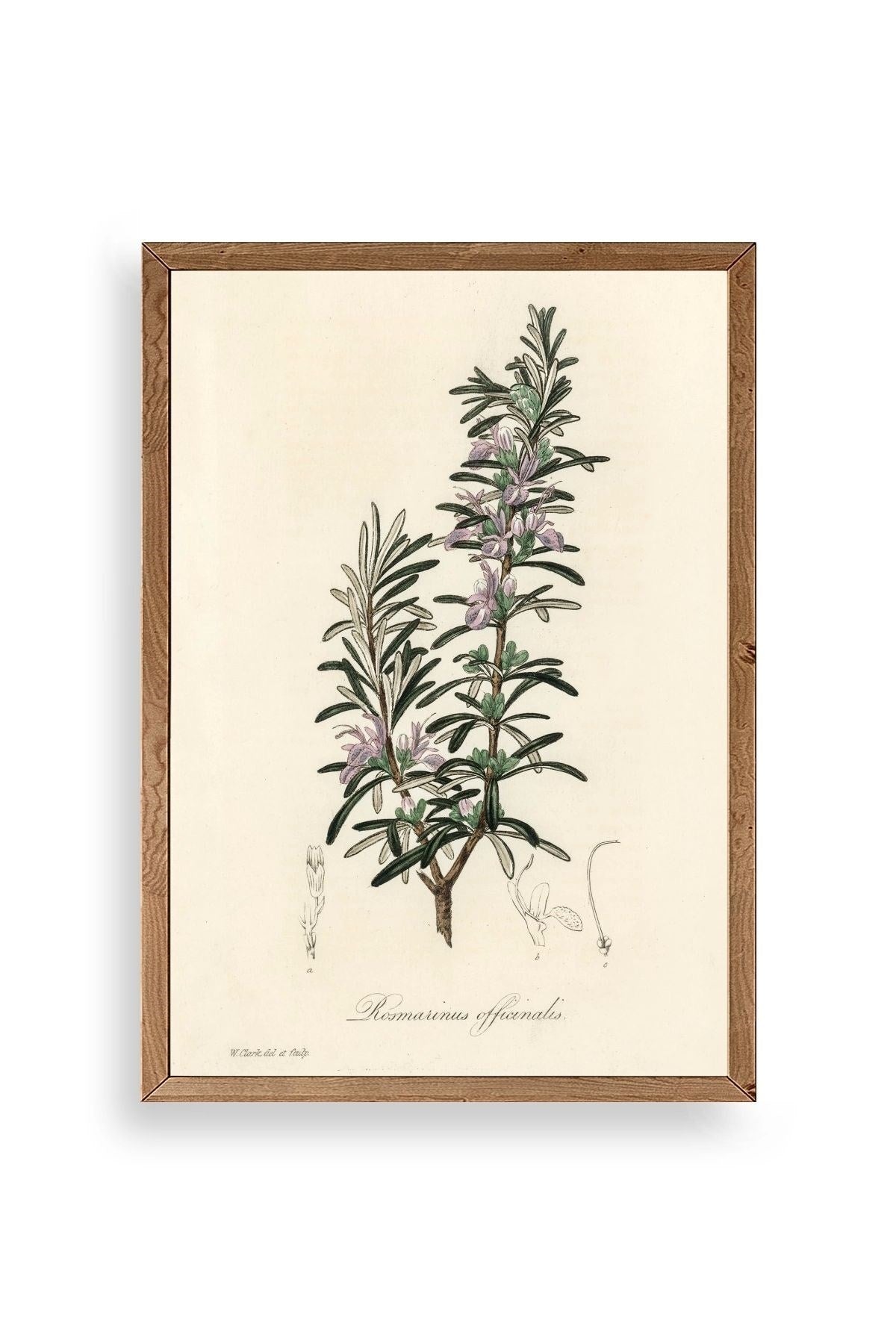 Yaprak Ahşap Çerçeveli Tablo 17 x 23