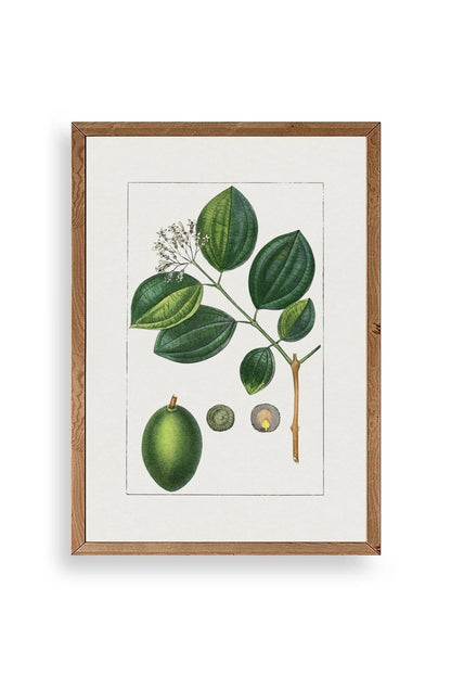 Rosalind Wheeler Ahşap Çerçeveli Tablo 17 x 23