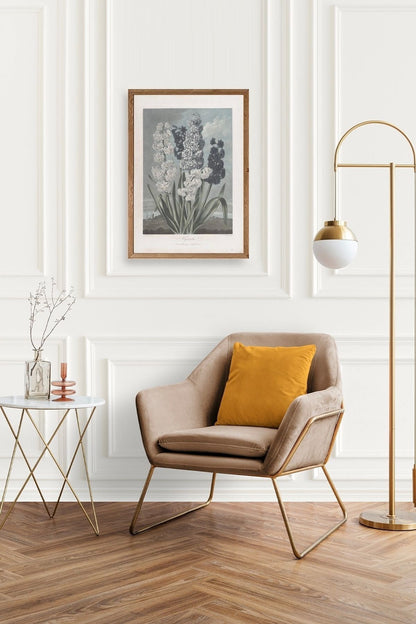 Legendarte Canvas Ahşap Çerçeveli Tablo 17 x 23