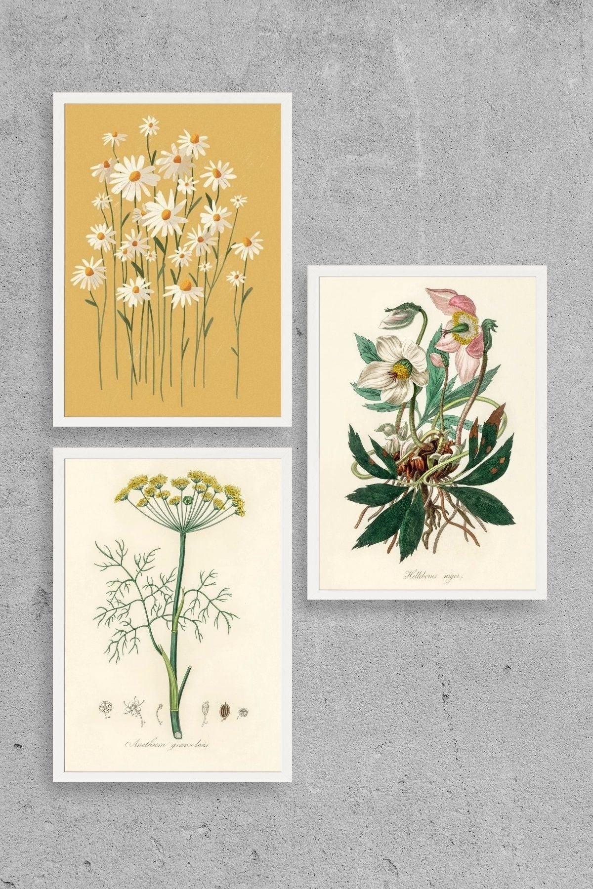 Çiçek Üçlü Ahşap Çerçeveli Tablo 23 x 30