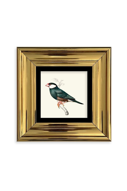 Yeşil Kuş Çerçeveli Taş Tablo 20 cm