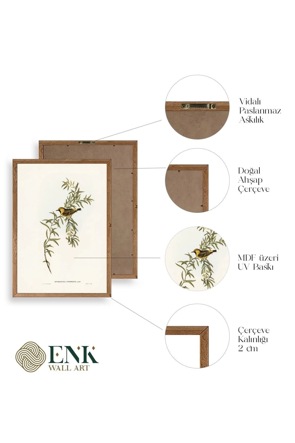 Daldaki Kuş Ahşap Çerçeveli Tablo 50 x 70