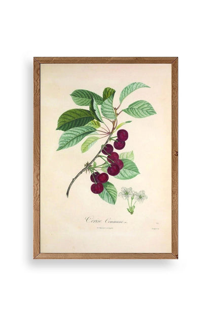 Meyveler Ahşap Çerçeveli Tablo 23 x 30