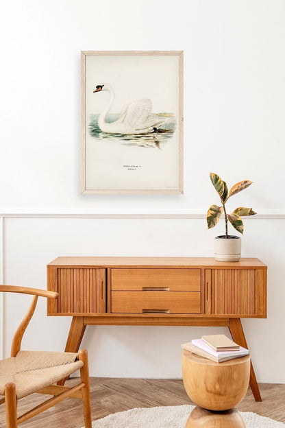 Kuğu Ahşap Çerçeveli Tablo 23 x 30