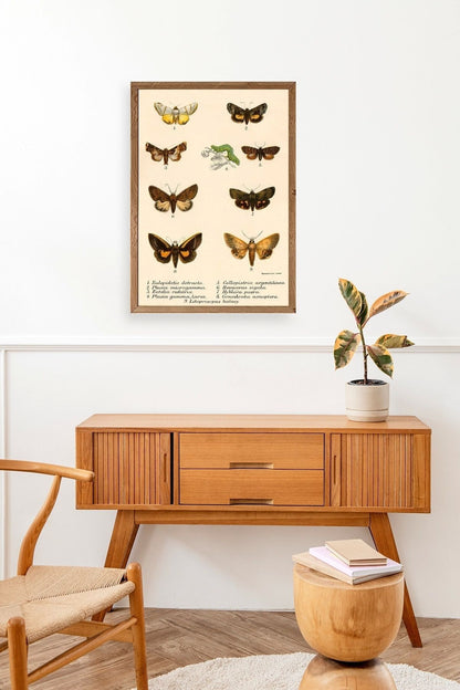 Kelebekler Ahşap Çerçeveli Tablo 30 x 42