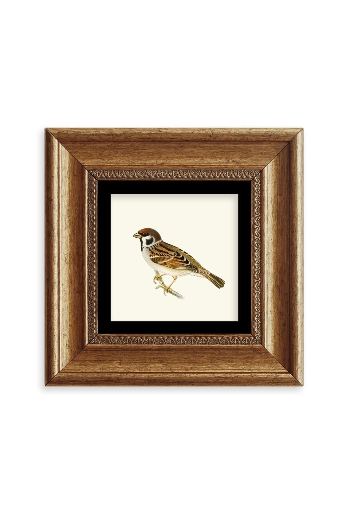 Daldaki Serçe Çerçeveli Taş Tablo 20 cm