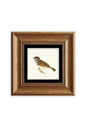 Daldaki Serçe Çerçeveli Taş Tablo 20 cm