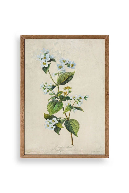 Çiçek Ahşap Çerçeveli Tablo 30 x 42