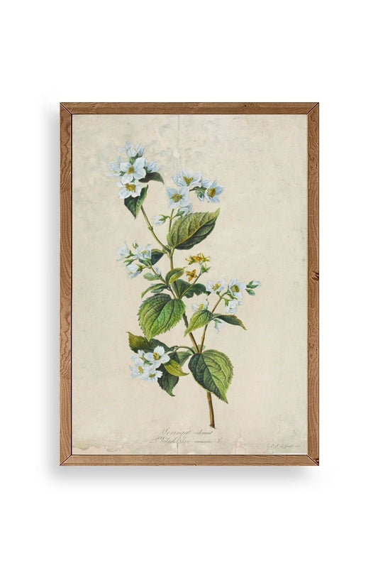 Çiçek Ahşap Çerçeveli Tablo 30 x 42