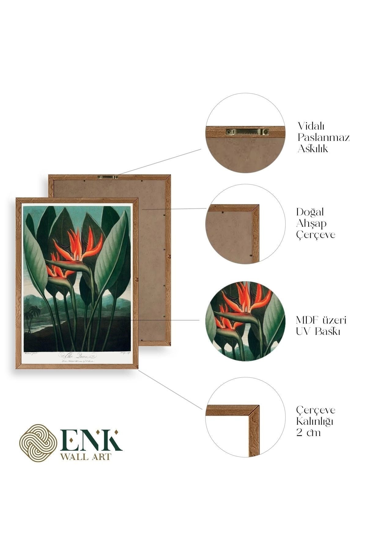 The Queen Plant Ahşap Çerçeveli Tablo 50 x 70