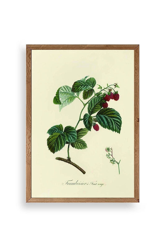 Yaprak Ahşap Çerçeveli Tablo 50 x 70