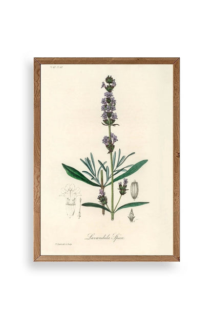 Yaprak Ahşap Çerçeveli Tablo 23 x 30